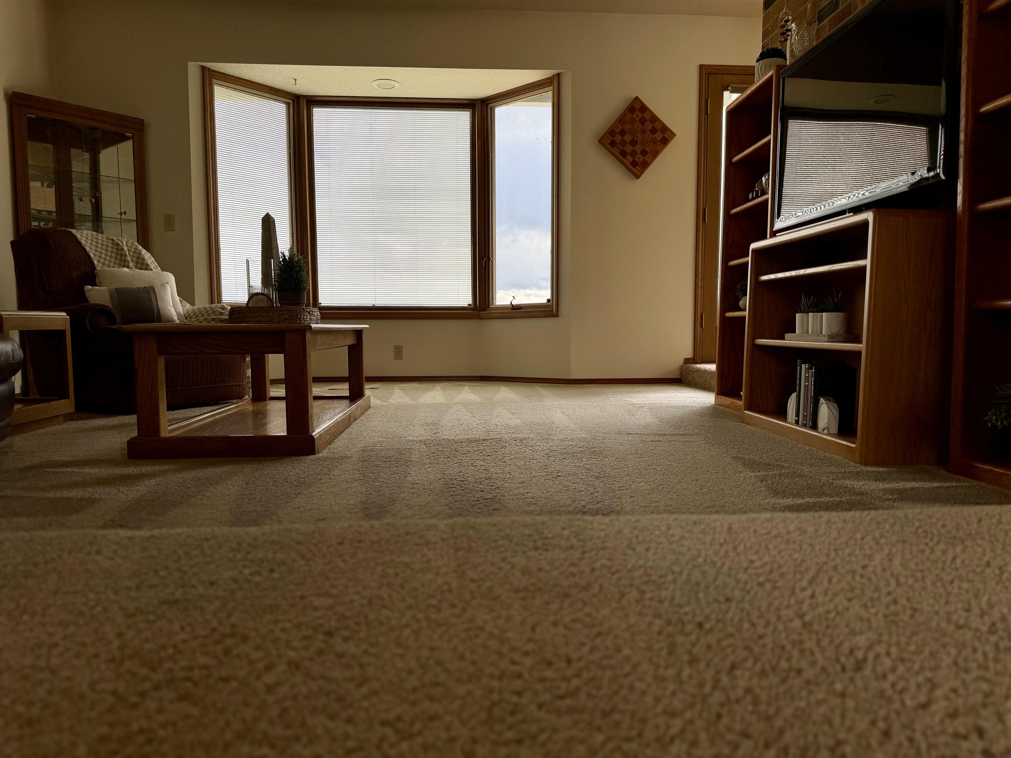 Freshly cleaned carpet with vacuum lines in a Longview living room
